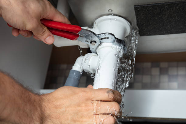 Best Water damage restoration near me  in Grandwood Park, IL