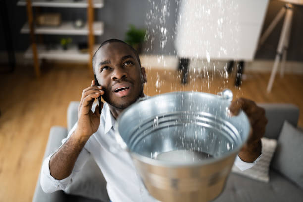 Best 24/7 water damage repair  in Grandwood Park, IL
