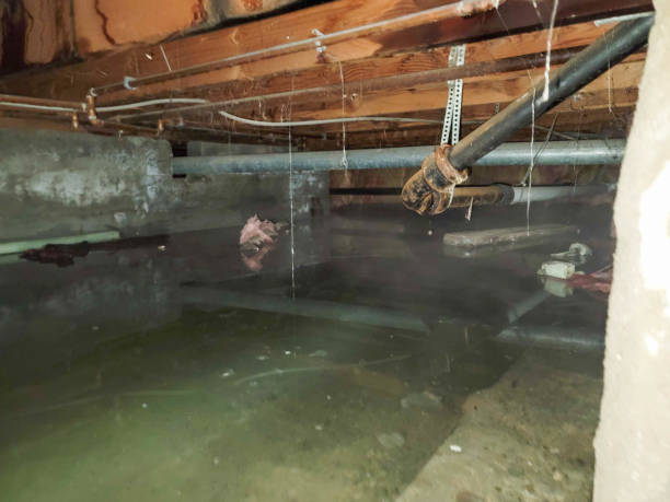 Reliable Grandwood Park, IL Water damage restoration Solutions