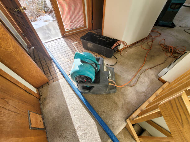 Best Flooded house restoration  in Grandwood Park, IL