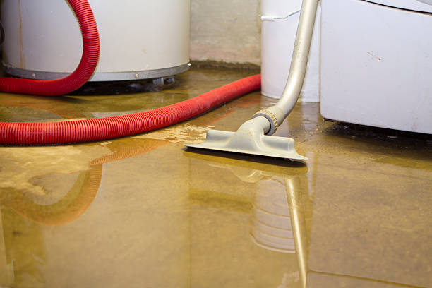 Best 24-hour water damage restoration  in Grandwood Park, IL