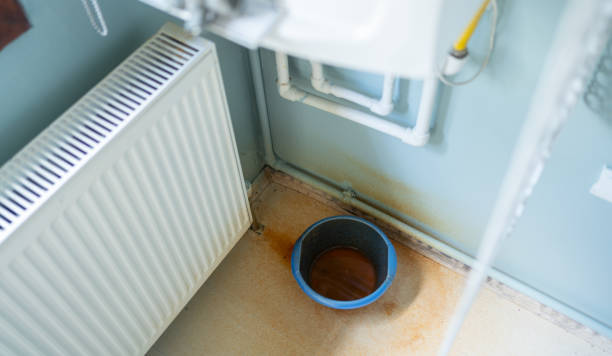 Best Water damage restoration services  in Grandwood Park, IL