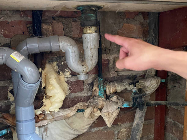  Grandwood Park, IL Water damage restoration Pros