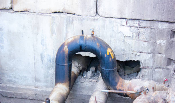 Best Flood restoration services  in Grandwood Park, IL